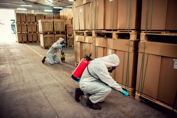 Best Residential Pest Control  in Ashland, IL