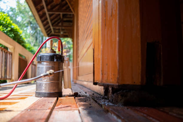 Best Pest Control Treatment  in Ashland, IL