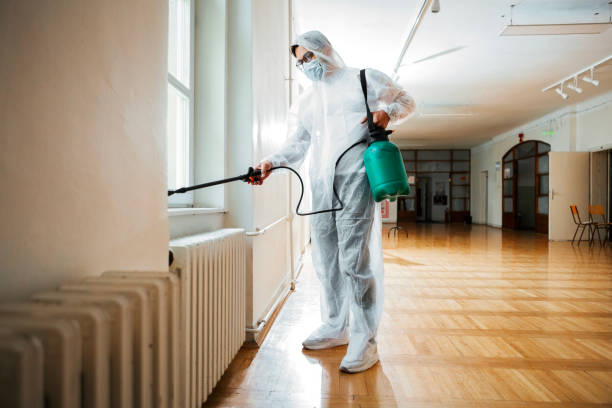 Best Cockroach Control Services  in Ashland, IL